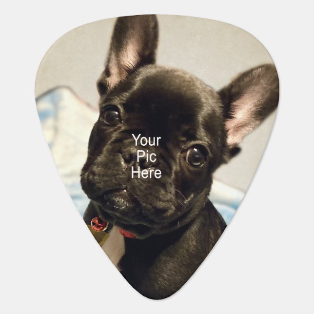 Personalized Photo Guitar Pick Cusotm Guitar Pick (Front)