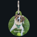 Personalized Photo ID Dog Cat Tag<br><div class="desc">Add your dog or cats photo to this cute tag. Personalize both the front and back with your information.</div>