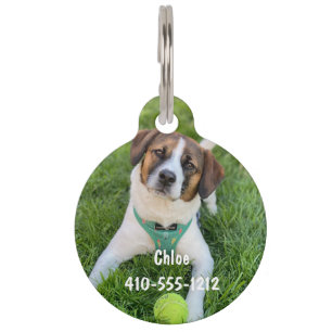 Personalized Photo ID Dog Cat Tag