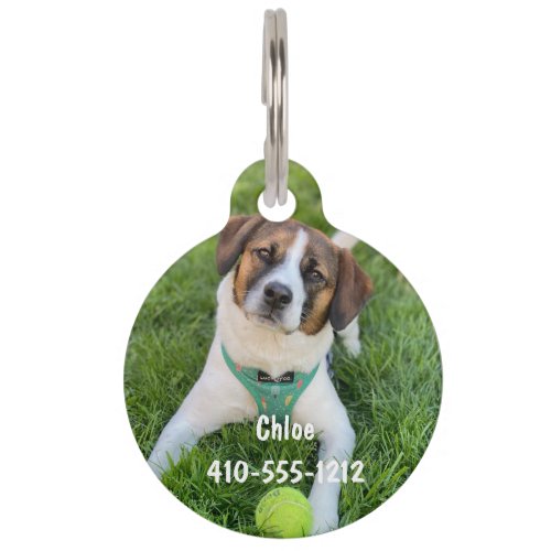 Personalized Photo ID Dog Cat Tag 