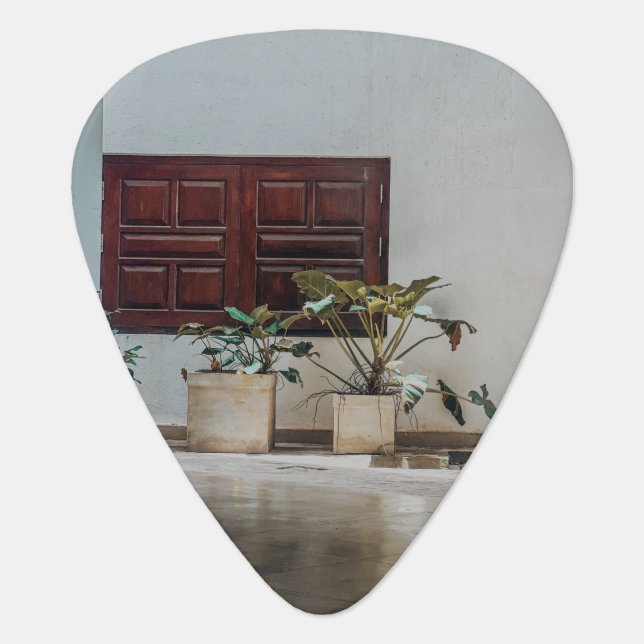 Personalized Photo Modern Cute Simple Custome Guitar Pick (Front)