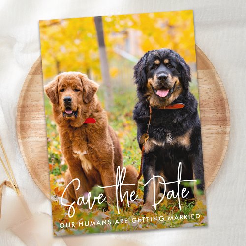 Personalized Photo Modern Script Pet Dog Wedding Save The Date