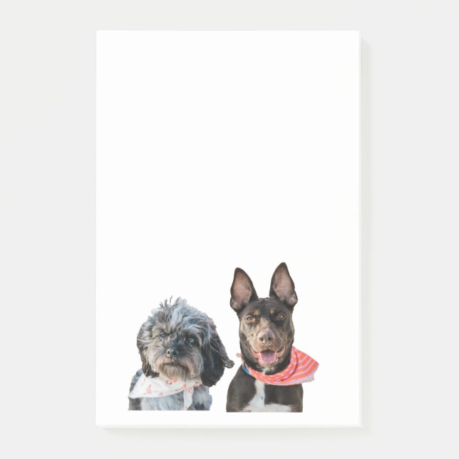 PERSONALIZED PHOTO notes (Front)