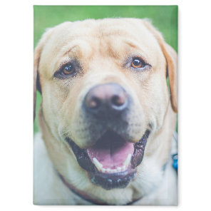 Personalized photo or art  magnet