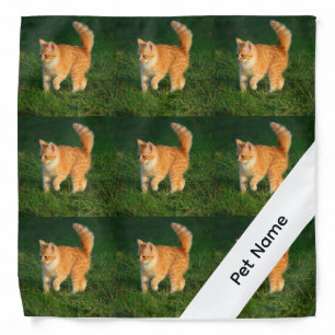 Personalized Photo Pet Bandana