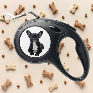 Personalized Photo Pet Dog Retractable Pet Leash