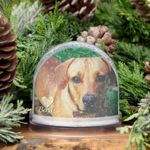 Personalized Photo Pet Memorial Snow Globe 