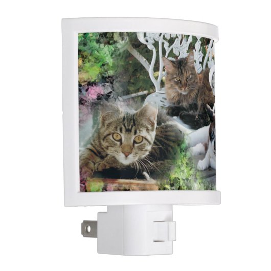 personalized photo pet night light (Right)
