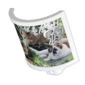 personalized photo pet night light (Angled)