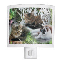 personalized photo pet night light