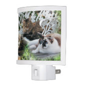 personalized photo pet night light (Left)