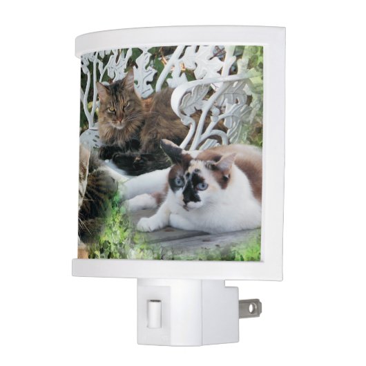 personalized photo pet night light (Left)