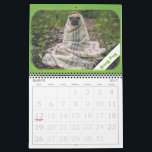 Personalized Photo Picture Adventure Calendar<br><div class="desc">Have fun picking out your favorite silly, funny or serious photos, images, and graphics to make your own custom photo personalized calendar. Add photos of friends, family, cats, dogs, pets, travel and your favorite moments. Features colorful and modern unique frames to accent your photos. Some calendar pages have elements such...</div>