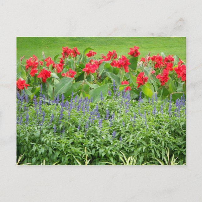 Personalized Photo Postcard (Front)