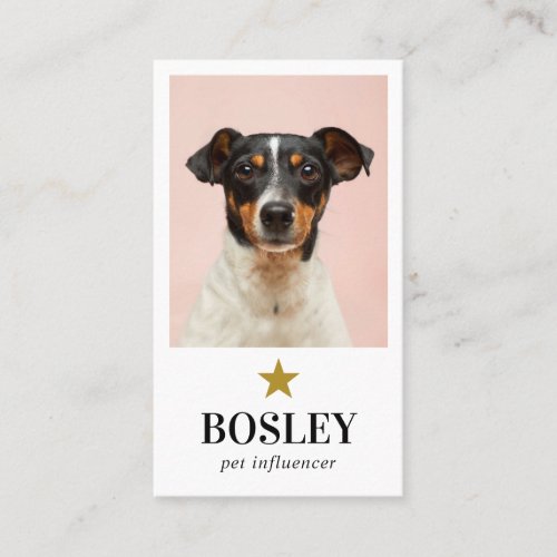 Personalized Photo QR Code Social Media Pet Star Business Card