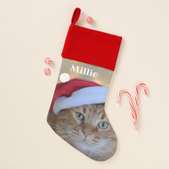 Personalized photo stocking with puppy name (Front)