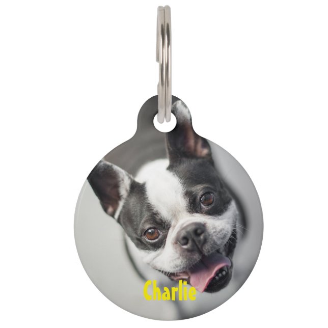 Personalized Photo & Text Round Pet Tag (Front)