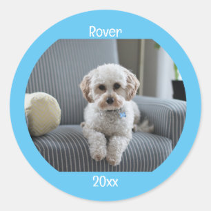 Personalized Photo Two Lines Text Custom Classic Round Sticker