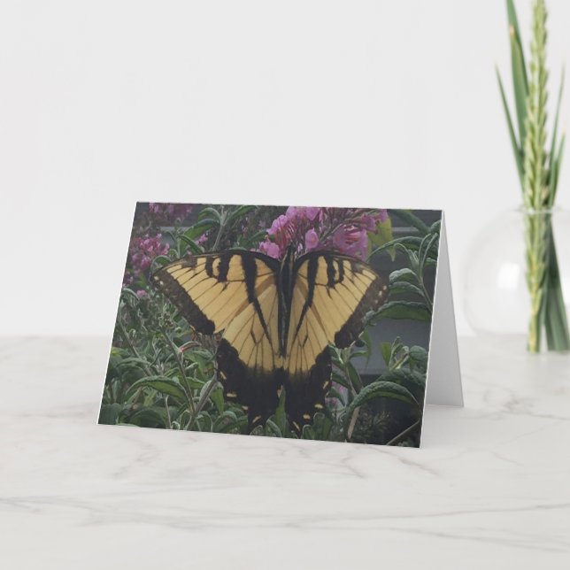 Personalized Photo Yellow and Black Butterfly  Card (Front)