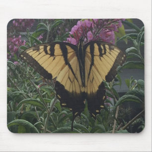 Personalized Photo Yellow and Black Butterfly Mouse Pad
