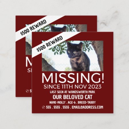 Personalized Photograph, Missing, Lost Pet Cards