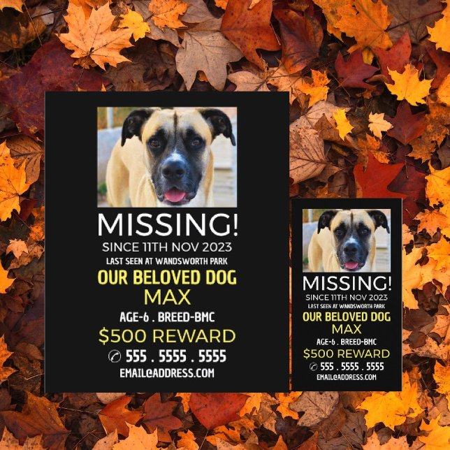 Personalized Photograph, Missing, Lost Pet Flyer (Creator Uploaded)