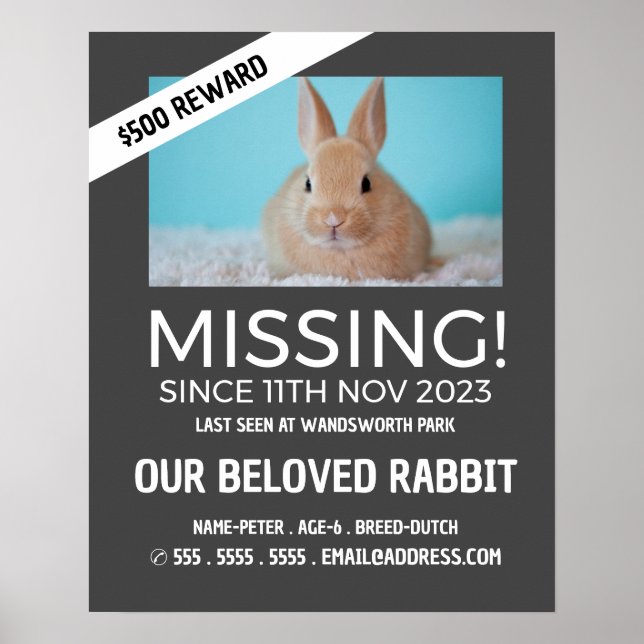 Personalized Photograph, Missing, Lost Pet Poster (Front)