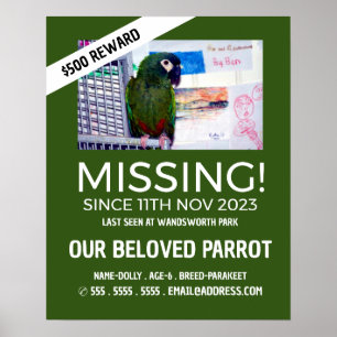 Personalized Photograph, Missing, Lost Pet Poster