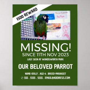 Personalized Photograph, Missing, Lost Pet Poster