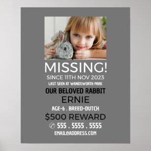Personalized Photograph, Missing, Lost Pet Poster