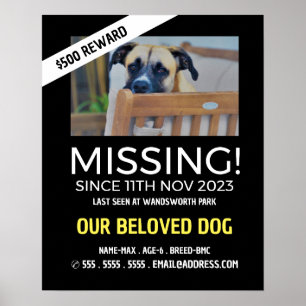Personalized Photograph, Missing, Lost Pet Poster
