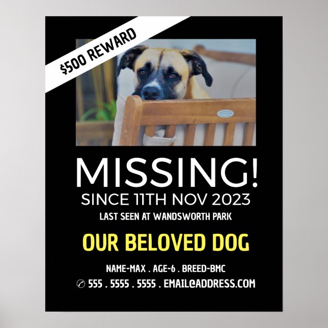 Personalized Photograph, Missing, Lost Pet Poster (Front)