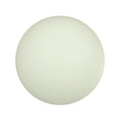 Personalized Ping Pong Ball (Front)