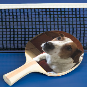 personalized ping pong paddle