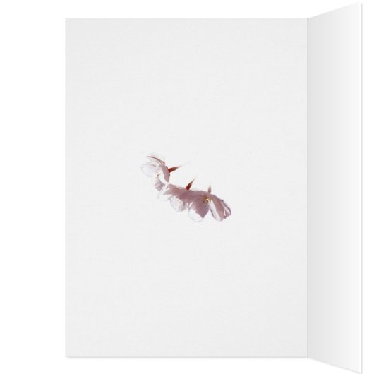 Personalized Pink Blossom Card Pink Flowers Card (Inside (Left))