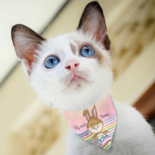 personalized Pink Bunny & Stripes Pet Bandana Collar