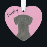 Personalized Pink Heart Black Great Dane Ornament<br><div class="desc">I am in love with this beautifully detailed watercolor illustration of a black great dane on a sweet pink heart! Personalize these pastel ornaments and make the nice list this year! For the perfect presents, pair it with a matching item from the collection for a thoughtful housewarming, bridal shower, teacher,...</div>