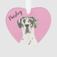 Personalized Pink Heart Harlequin Great Dane