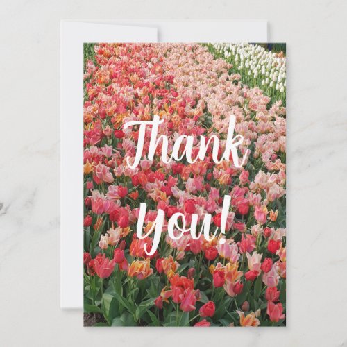 Personalized Pink Tulip Garden Thank You Holiday Card