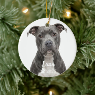 Personalized Pit Bull Blue Nose Dog Photo Ornament