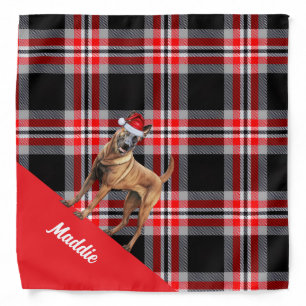 Personalized Plaid Belgian Malinois Dog Christmas Bandana