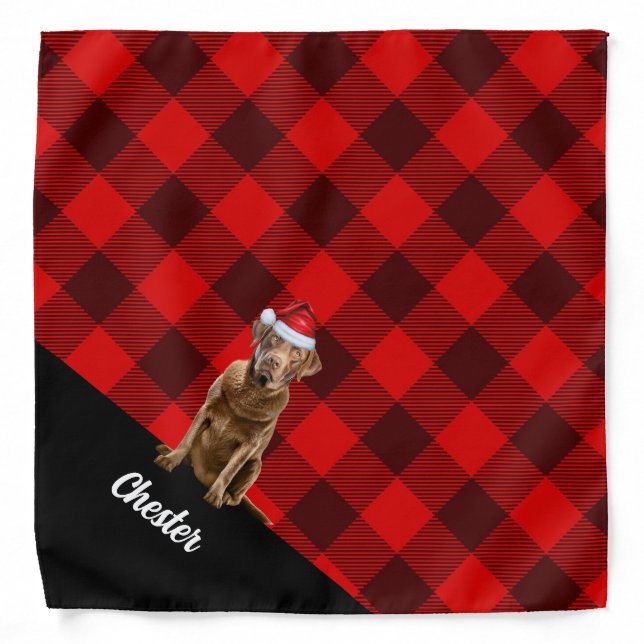 Personalized Plaid Chesapeake Retriever Christmas Bandana (Front)