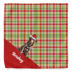 Personalized Plaid Chocolate Retriever Christmas Bandana