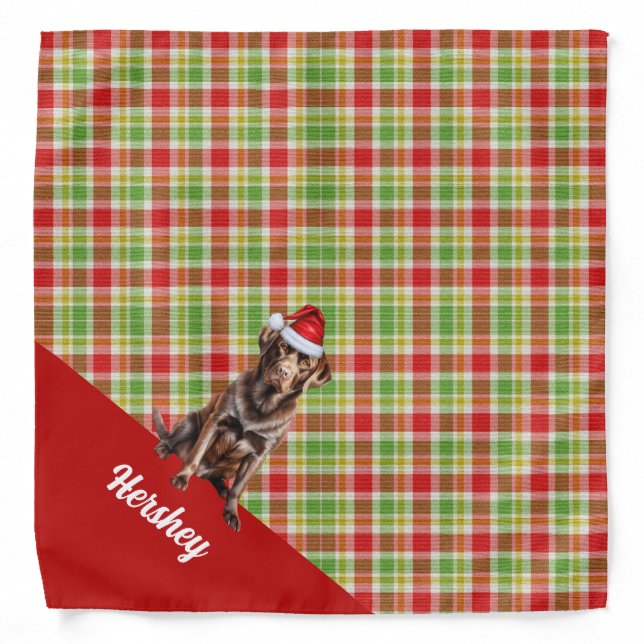 Personalized Plaid Chocolate Retriever Christmas Bandana (Front)