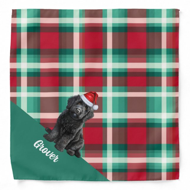 Personalized Plaid Labradoodle Dog Santa Christmas Bandana (Front)