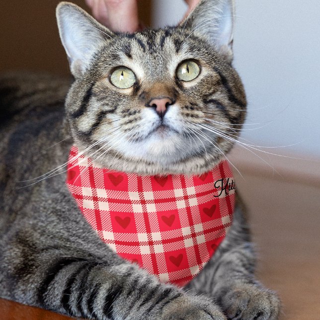 Personalized Plaid Red Love Heart Pattern Cat Pet Bandana Collar (Creator Uploaded)