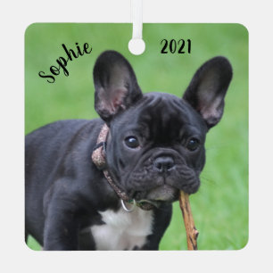 Personalized Playful French Bulldog Puppy  Metal Ornament