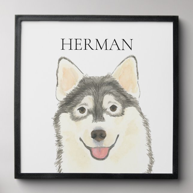 Personalized Pomsky Pet Portrait Peel And Stick Photo Tile (Front Set)