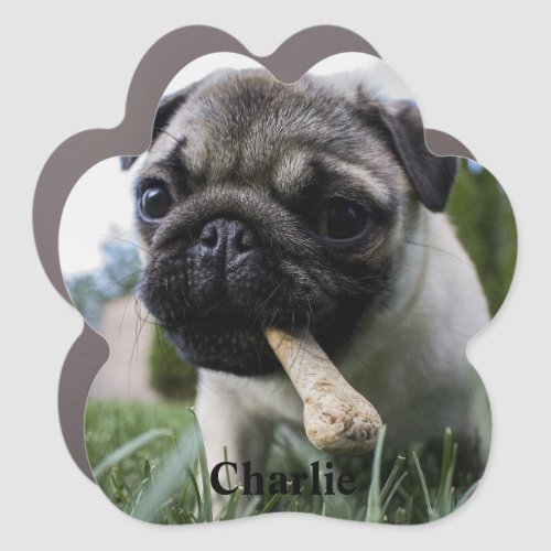 Personalized Pug Dog Photo and Name Car Magnet