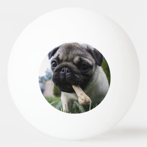 Personalized Pug Dog Photo and Name Ping Pong Ball